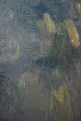 view of a dirty river