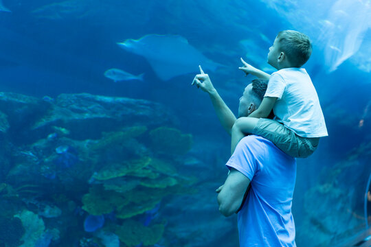Dad and son spend time together in the Aquarium. Son sits on dad's back and explores the underwater world