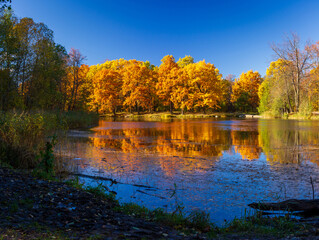 Golden autumn and the lake in the park