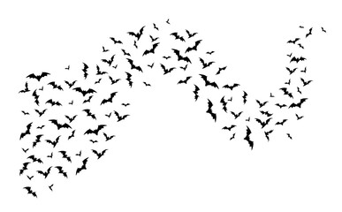 Fototapeta premium Flying halloween bats, curve wave fly on white background. Isolated vector vampire winged animal flock, swarm of creepy bats black silhouettes, spooky fauna creatures group flow graphic design element