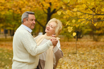 Active seniors on a walk in autumn forest