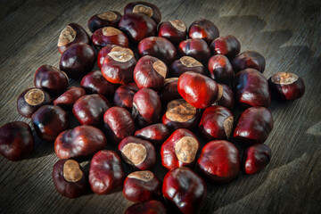Chestnuts, conkers in the sunshine.