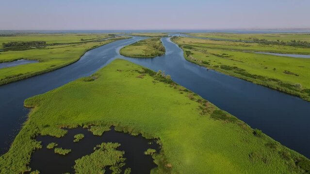 Wildlife Ukraine of the Dnieper river, reserve with river mouths, reeds, sunny day. Flying over the water exit to the sea. Comparable to Amazon in Africa