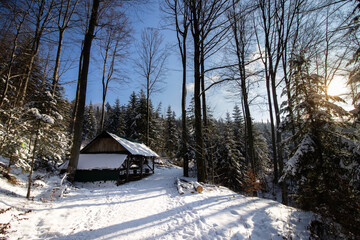 Chata w zaśnieżonym lesie