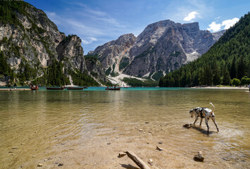 Italy 2022 Lago Di Braies Alpy Dolomity - obrazy, fototapety, plakaty