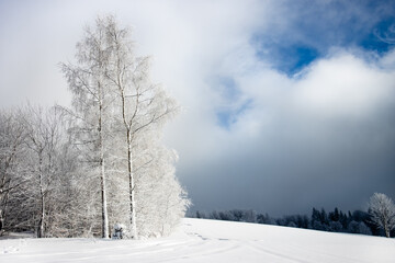 Zimowy krajobraz w lesie z czarnymi chmurami