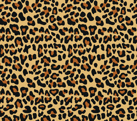 Animal leopard vector design wild cat seamless print