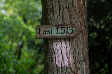 touristic path sign or mark on the tree, orientation and navigation symbol