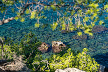 Bord de mer en côte d'azur avec ces rochers et la mer transparente