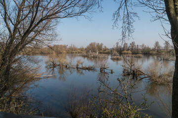 A view on a lake in the Blauwe Kamer in the Netherlands