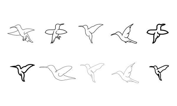 set of line art hummingbird logo design vector