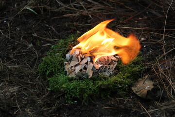 Burning fire around green moss