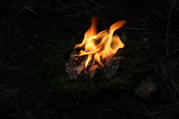 Campfire in a dark landscape
