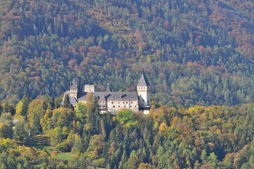 Fototapeta na wymiar Burg Wartenstein Nähe Gloggnitz, Österreich
