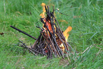 Bonfire in a forest area close up

