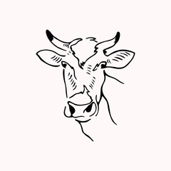 Cow head face logo design on white background