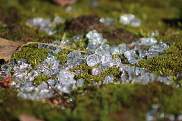Broken glass on moss