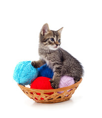 Fototapeta na wymiar Gray kitten with balls in the basket.