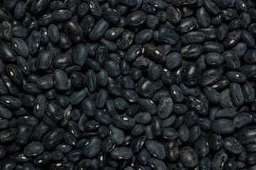bulk black bean pile, mexican agriculture and gastronomy