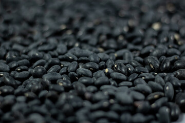 bulk black bean pile, mexican agriculture and gastronomy