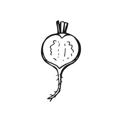 Radish outline. Hand drawn vector illustration. Farm market product, isolated vegetable.