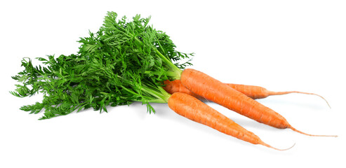 Fresh carrots - isolated image