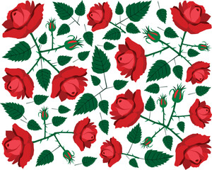 Beautiful Flower, Illustration Background of Bright and Beautiful Red Roses.
