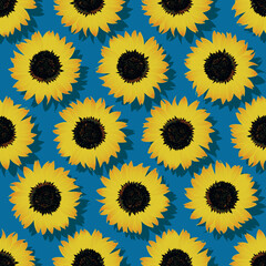 Decorative Pattern Sunflower with Blue Background and Shadow