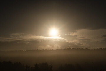 Fototapeta na wymiar Sunrise over the forest. Sunny day.