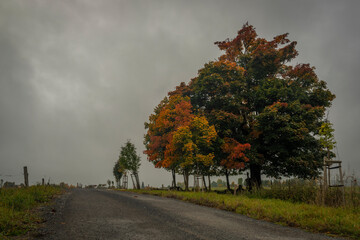 Landscape near Mnichov village in autumn dark cloudy day