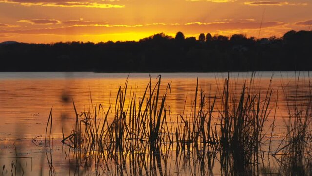 The sun sets on Lake Champlain in Vermont.  This slow motion shot was taken from the sandbar in the middle of October.  The focus is on the grass weeds peaking out of the low water.