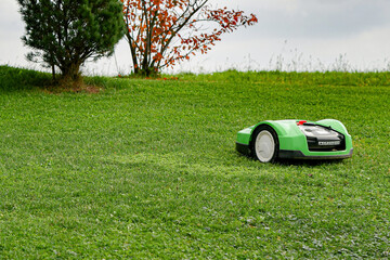 Autonomous electric lawn mower mows grass in the yard of a private house. - obrazy, fototapety, plakaty