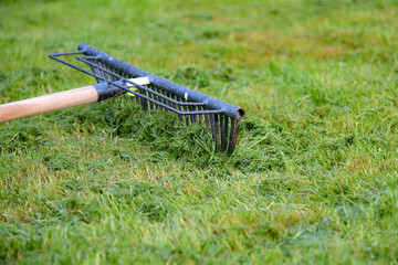 The rake lies on the mowed green grass.