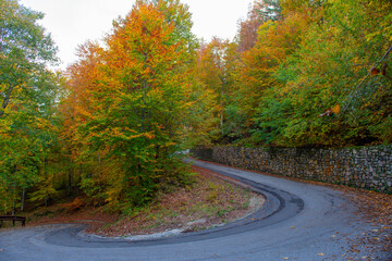 Obraz premium Mountain road in the autumn
