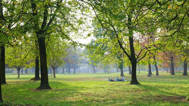 Collegno, Italy. View of the General Carlo Alberto Dalla Chiesa park, with some unidentifiable young people lying on the lawn among the trees. Slow motion video.