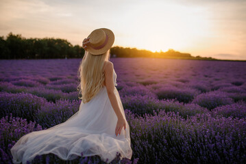 Young beautiful woman in a white dress and a hat is walking in the lavender field.