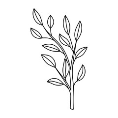Doodle line art branch with leaves. Hand drawn twig, monochrome linear garden floral elements