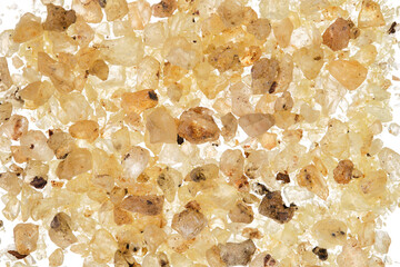 Close-up of Copal oro (Protium icicariba), a tree resin used by native Americans as incense in ceremonies, sacrificial rituals as well as a remedy.