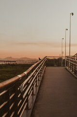 bridge over the river