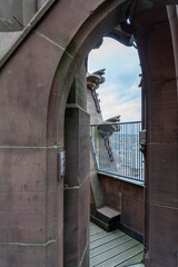 Fototapeta na wymiar Terrace of the cathedral tower, with a gargoyle and views of the city of Frankfurt