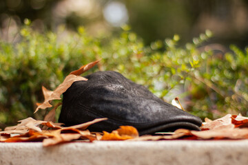 Hat fallen on the street under the leaves of the trees.
