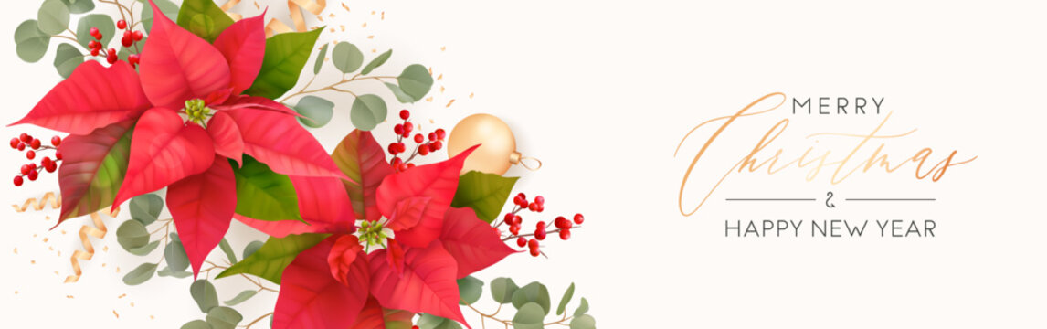Merry Christmas and Happy New Year vector banner. Xmas realistic Poinsettia flower header for website