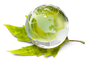 Environment concept, glass globe and green leaf