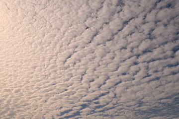 Blue sky full of white clouds, sunny day