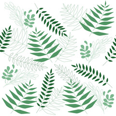 Tropical plants. Tropical leaf background