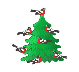 Christmas tree and bullfinches, birds sit on a tree, color drawing, on a transparent background, for design and printing