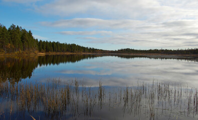 Northern Sweden. Lakeside under a cloudy sky on an autumn day