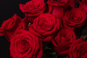 The red roses for the Valentine 