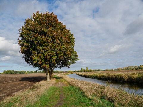 Schüttorf An Der Vechte