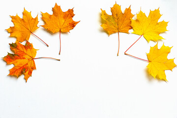 Hello Autumn concept. Autumn leaves isolated on white background. Season, minimal, autumn card, thanksgiving texture, fall background concept. Flat lay, top view, copy space
